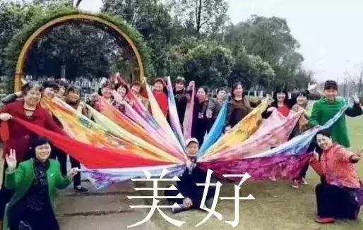 魔都四月赏花,魔都春季赏花好地方