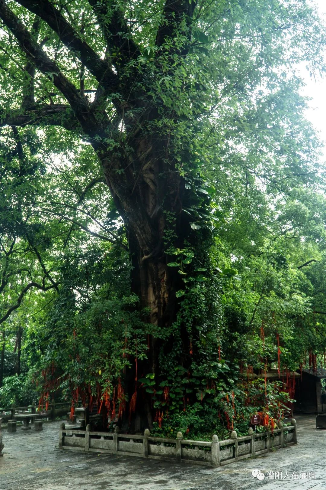 广西桂林灌阳县旅游,灌阳人在柳州