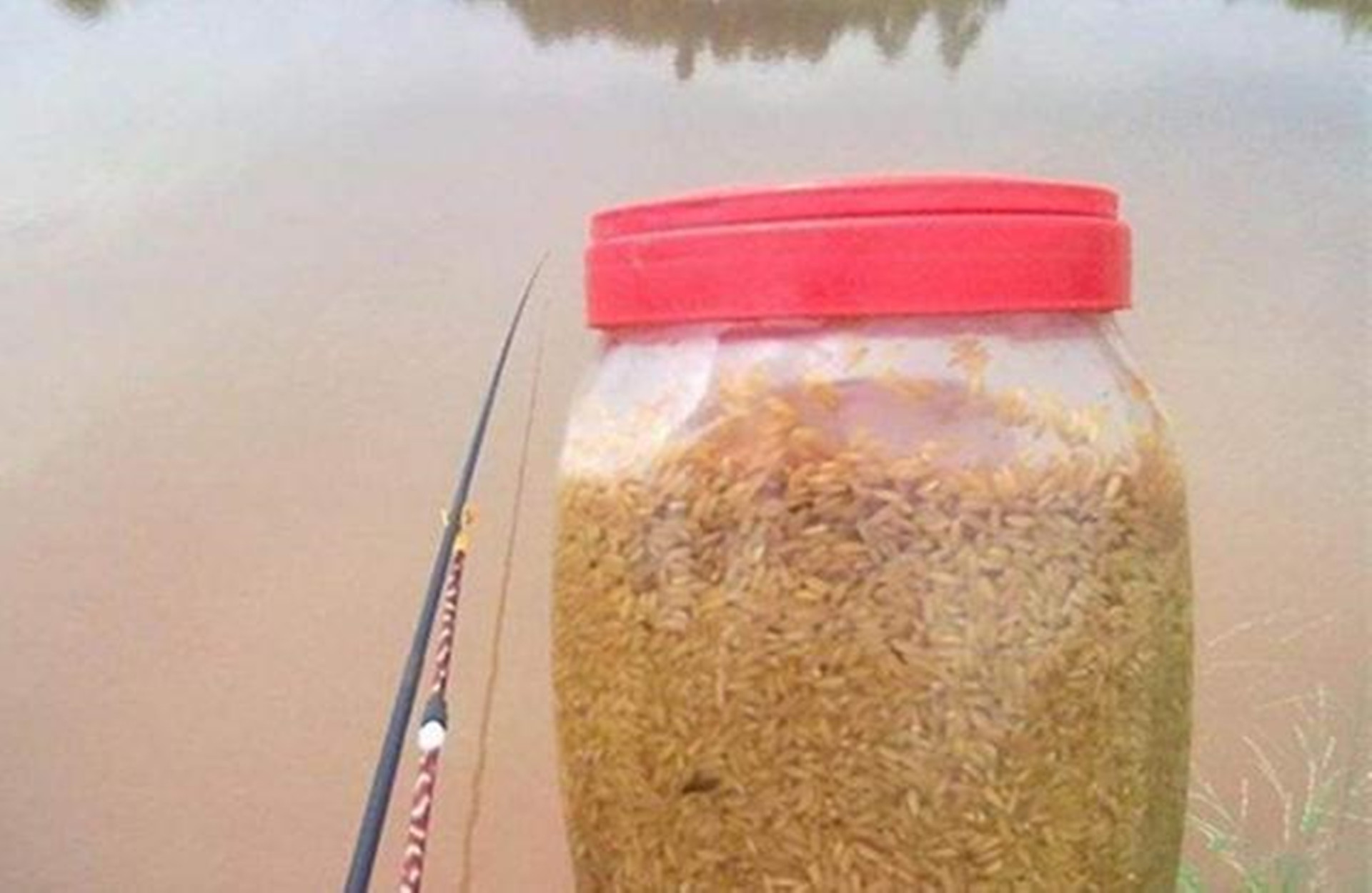 用不完的饵料如何长期保存,用不完的饵料如何保存下次继续用