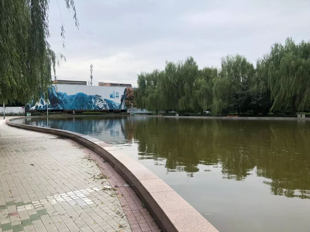 这就是渭南的网红圣地,这就是陕西