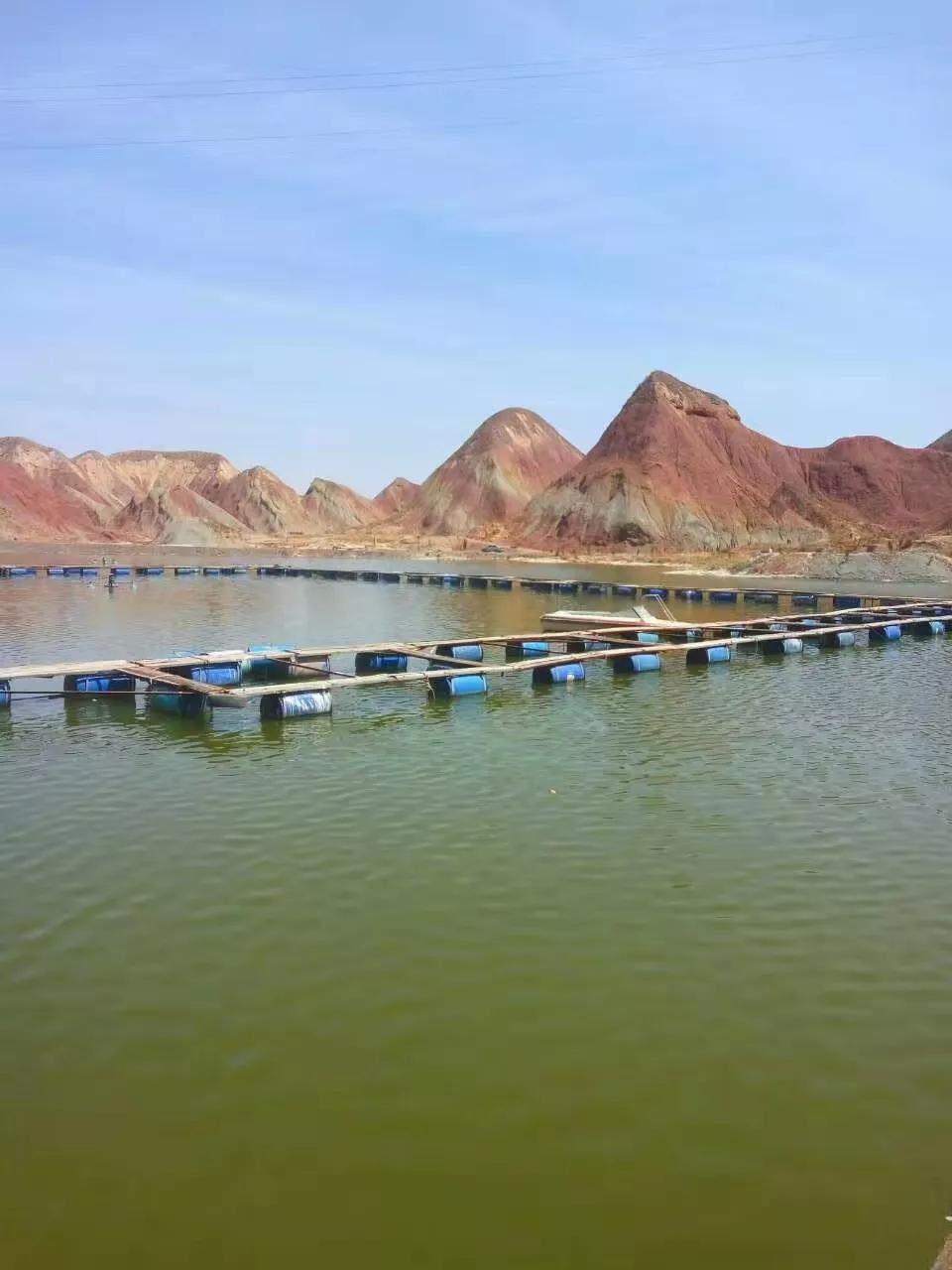 永登高氏家族,永登坪城高氏族谱字辈