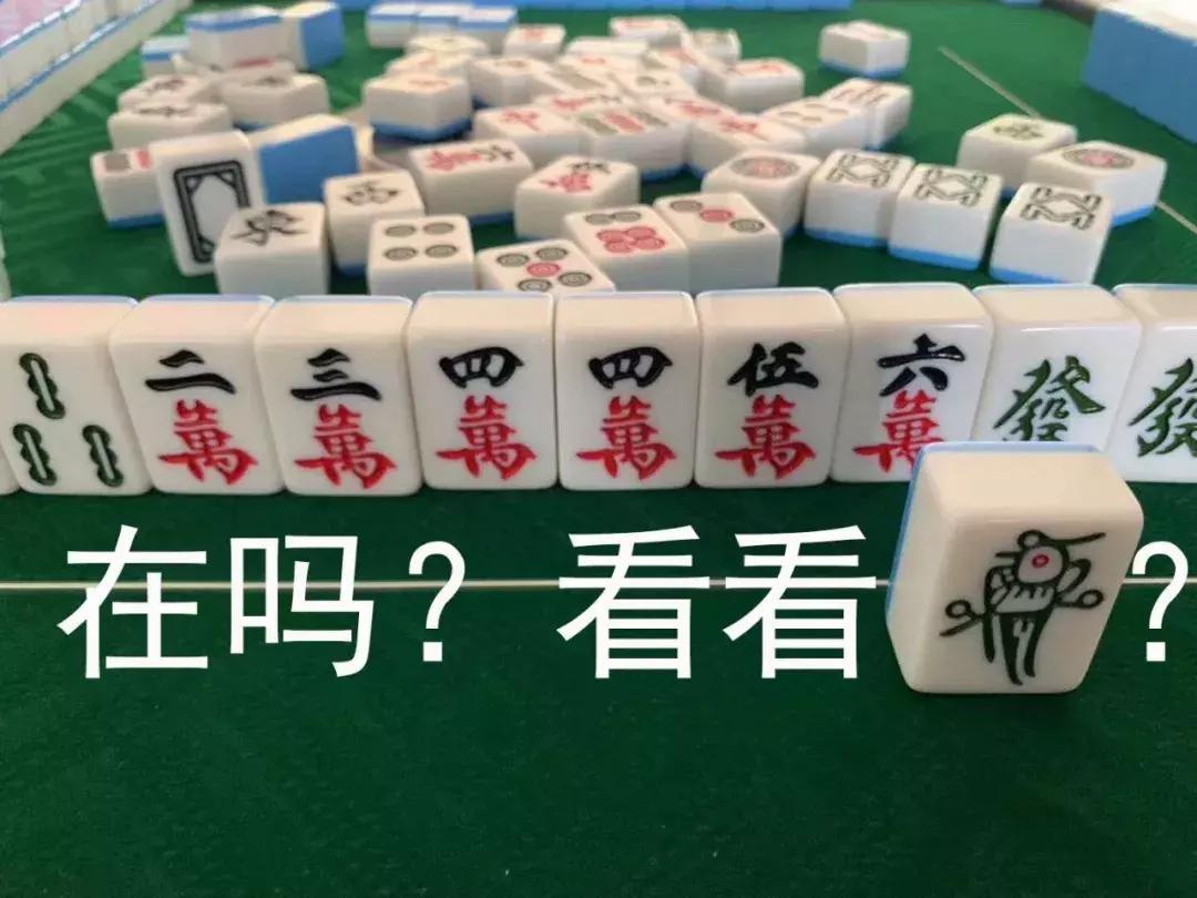 趣图搞笑表情包带麻将两个字,麻将上的南上加南图片