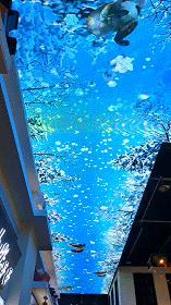 昆明的网红小吃街在哪里,昆明网红小吃城千千烧花甲粉