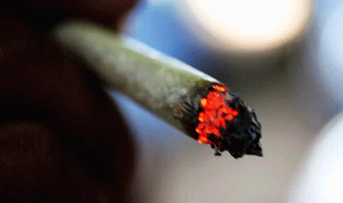 日本除甲醛豆子,日本甲醛清除剂真的有效吗