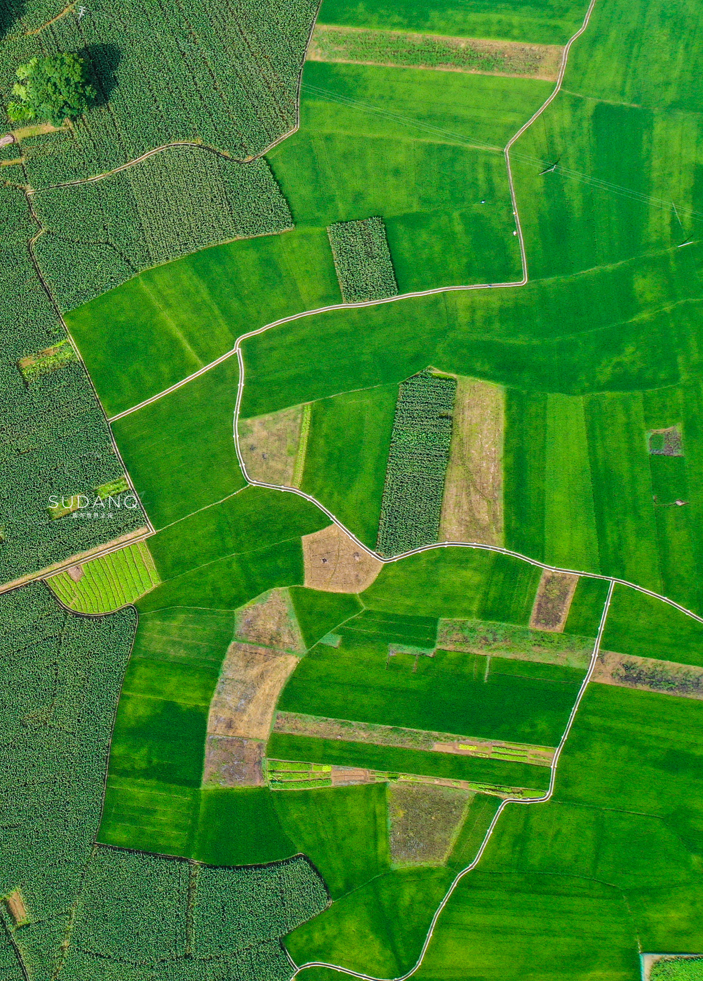 广西崇左口岸旅游,崇左边境自驾游路线图高清