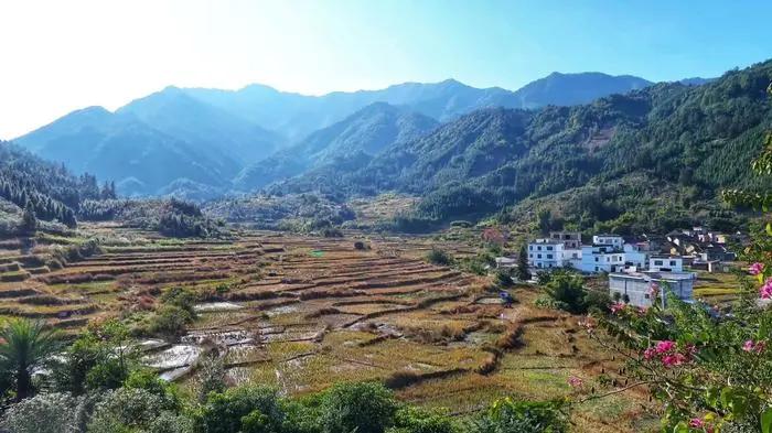 11月广州去哪的机票最便宜,广州出发的特价机票在哪买