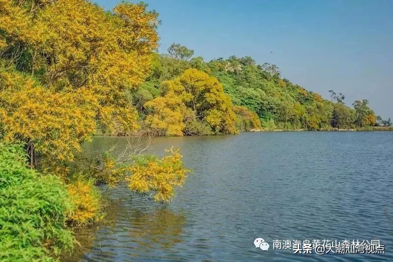 汕头南澳第一高峰,汕头能爬最高的山