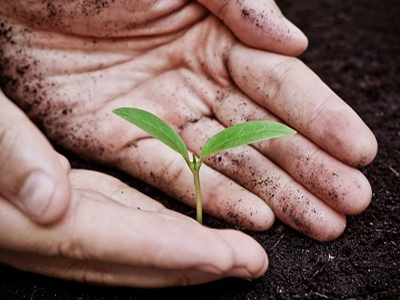 改善土壤肥力的简单方法,土壤不够怎么办