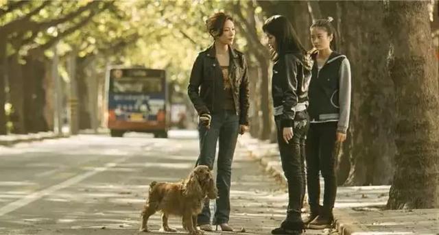 看不见孩子内心感受的爱，其实是伤害————观影《狗13》有感