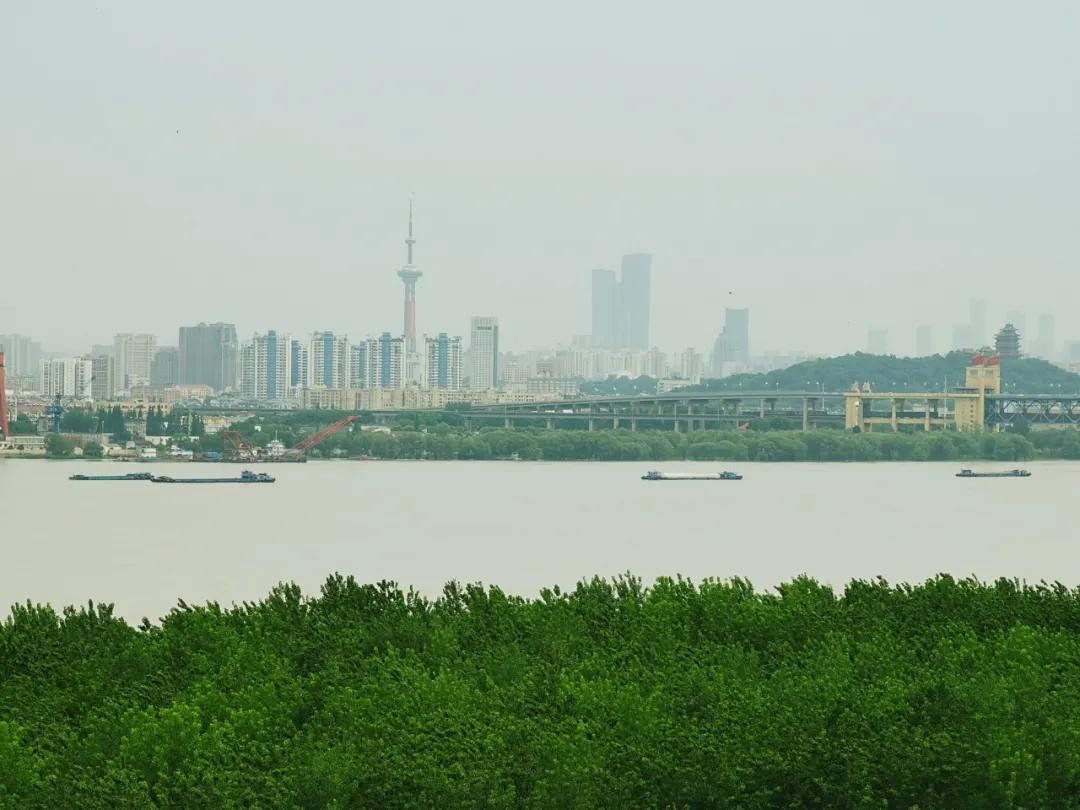 没怎么涨价的桥北，真的是天坑吗？