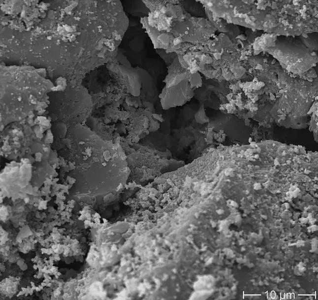 甲醛去除的正确方法有洋葱吗,洋葱去除甲醛最有效的方法