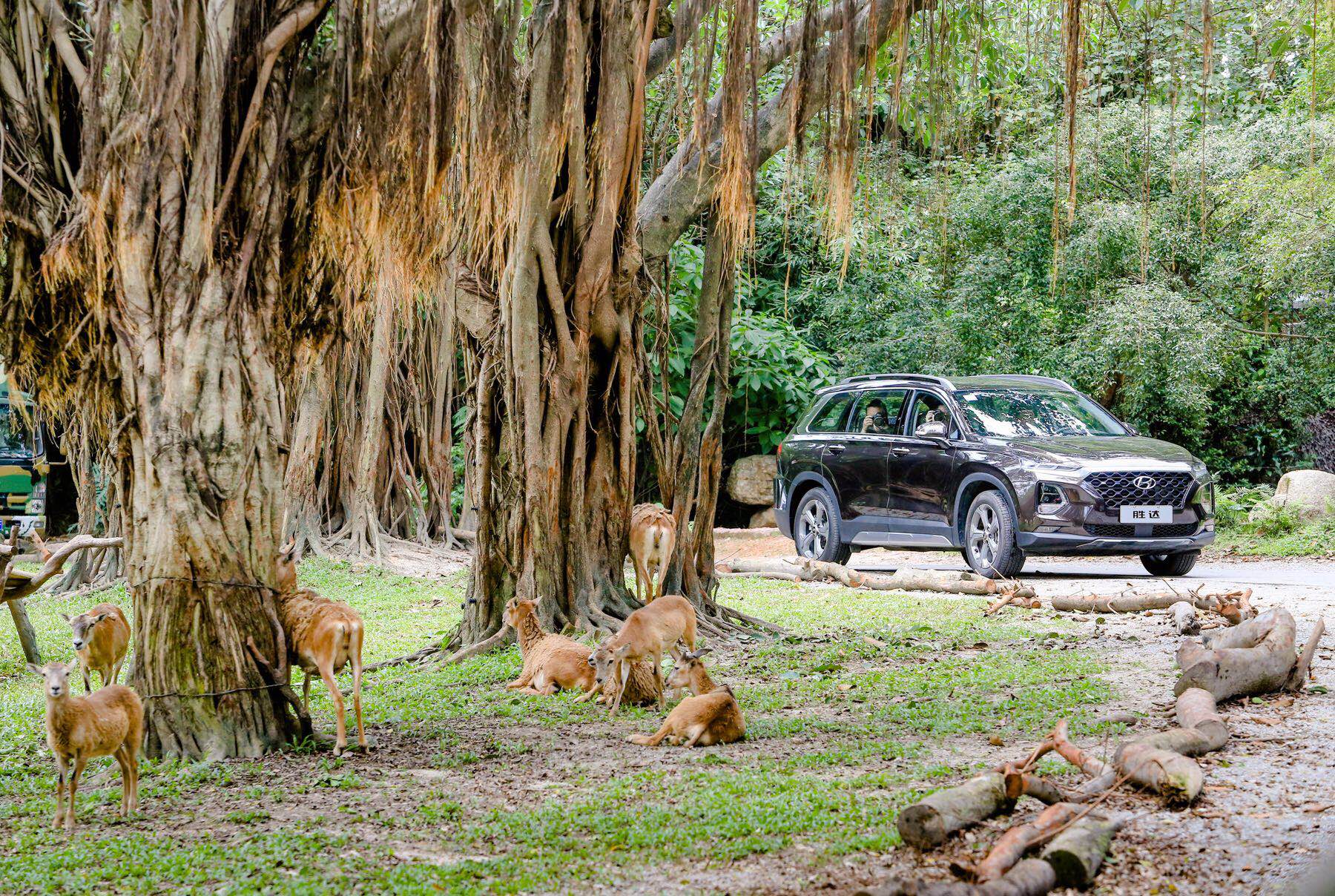 第四代胜达是中大型suv,第四代胜达空间表现怎么样
