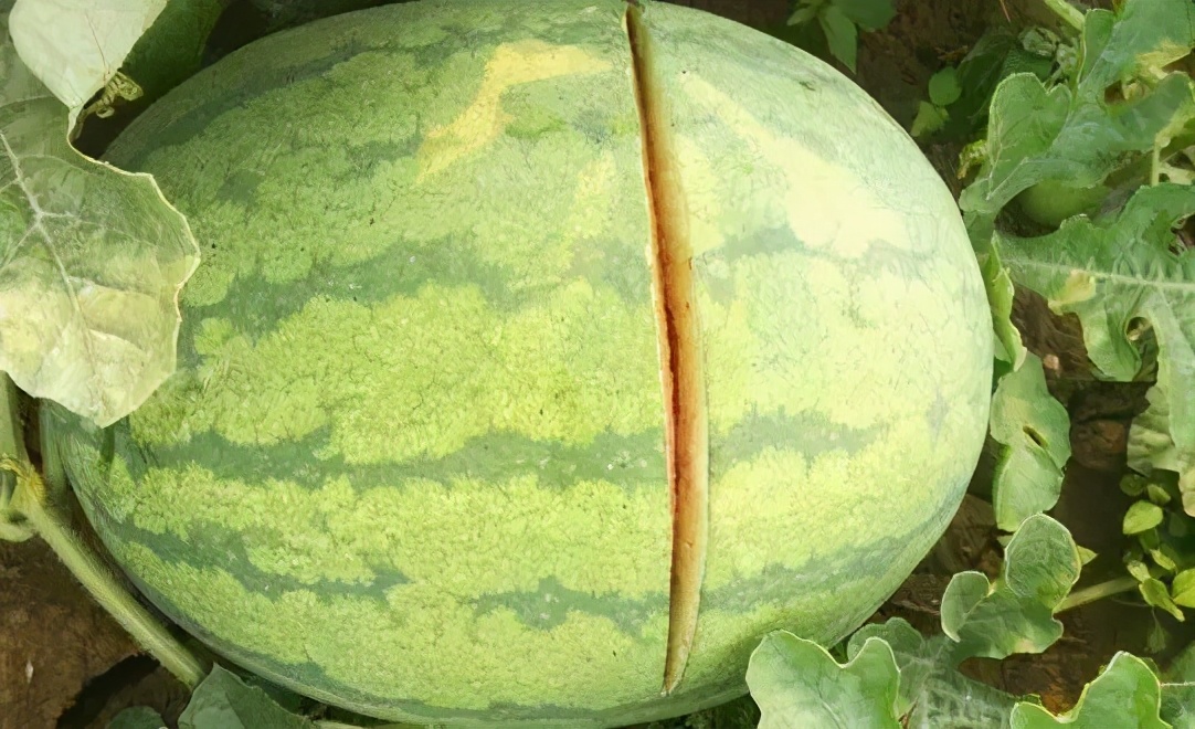 剖宫产后很后悔怎么办,剖宫产后的痛苦人能承受吗