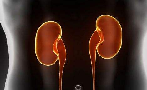 肾盂肾炎的饮食和保健调养你了解吗?请听护理点滴来为你解答