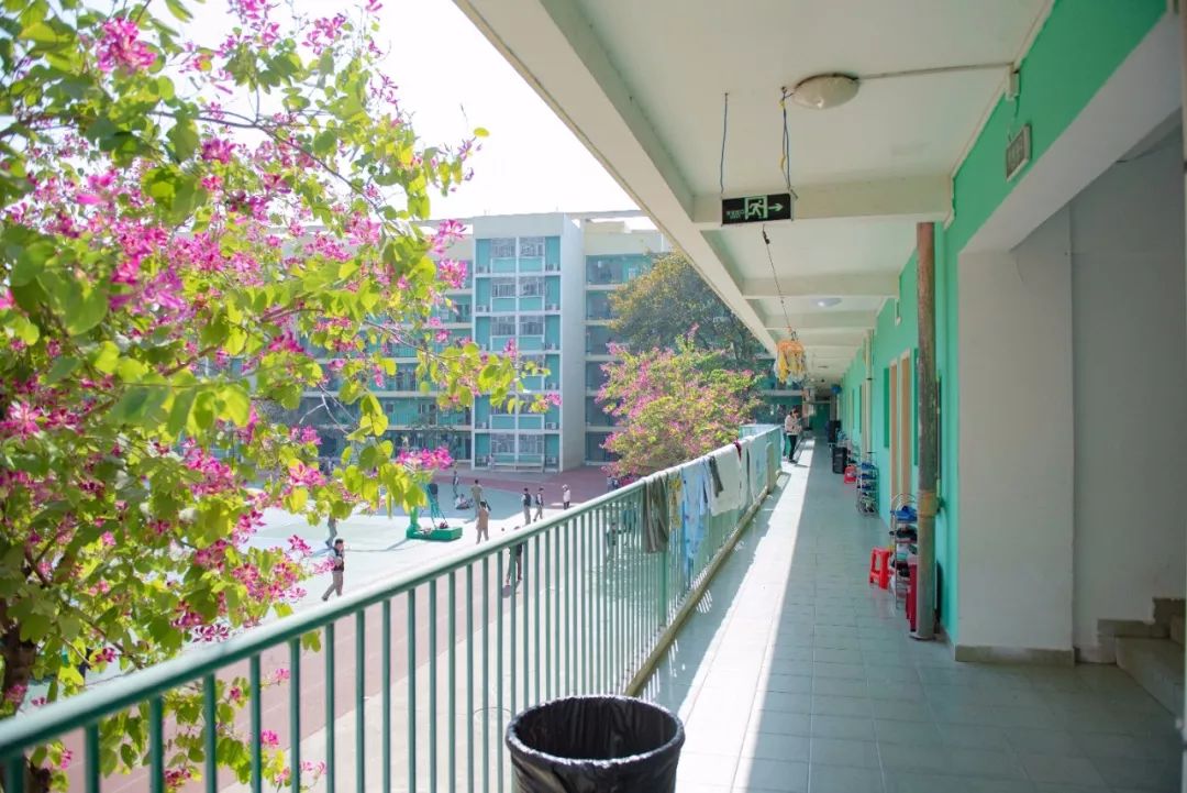 为明学校元培班怎样,为明学校元培班