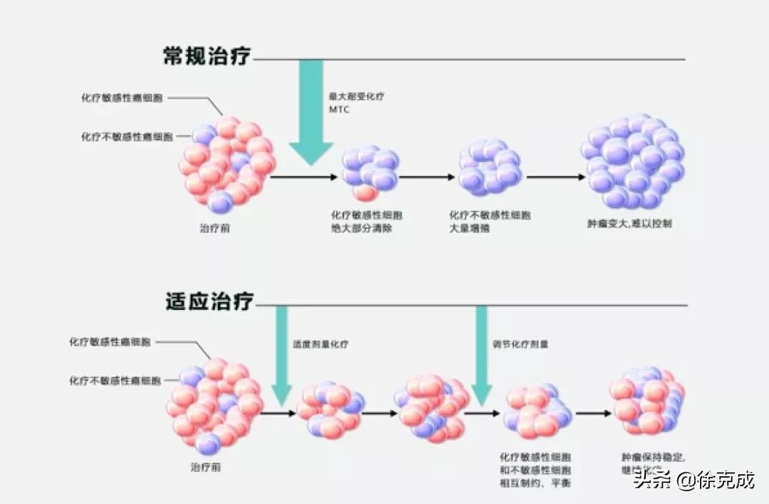 癌症的治疗与预防讲座的心得体会,癌症治疗的最终走向