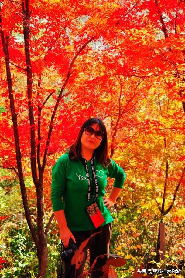 本溪赏枫攻略,本溪赏枫景区