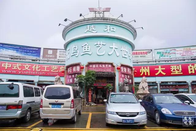 广州市芳村有哪些地方,广州消失的地方