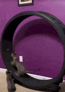 穿恨天高坐地铁的社死现场，两位男士都不忍看这次“崴脚表演”