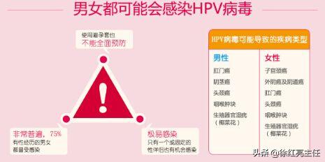 宫颈癌的致病元凶,宫颈癌的罪魁祸首图片