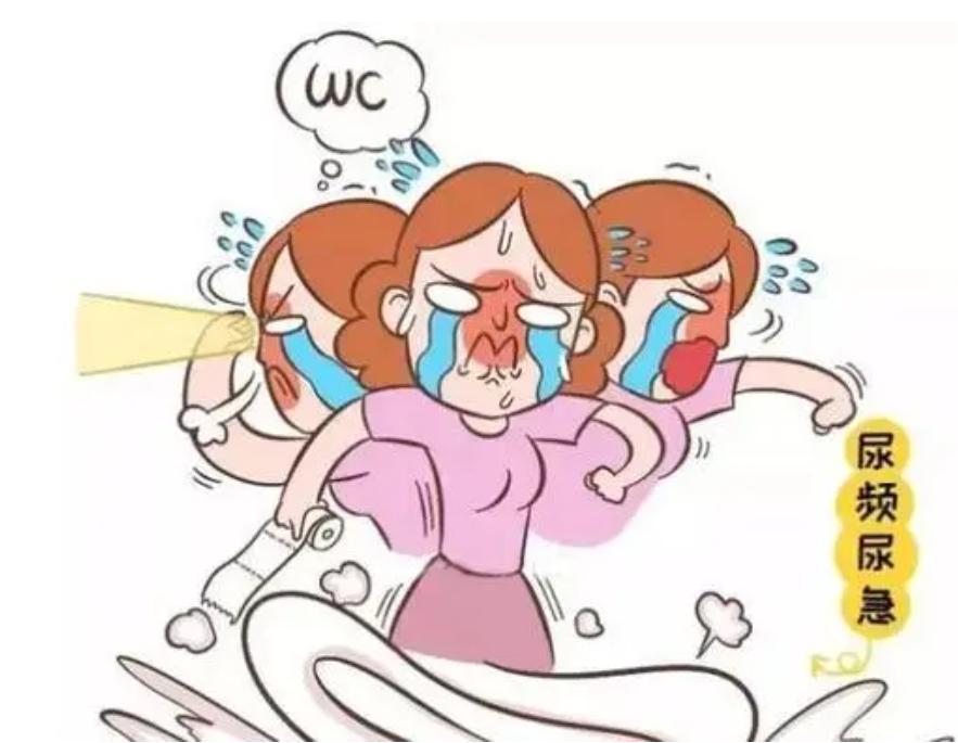女人会尿频尿急尿不尽吗,女性会尿频尿急尿不尽吗