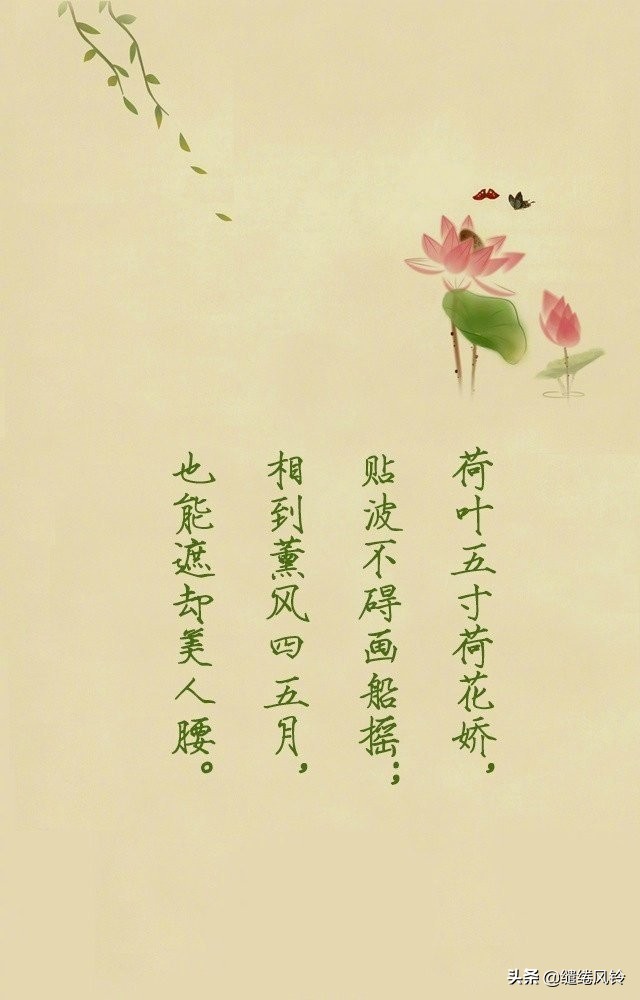 荷花出淤泥而不染全诗,满池荷花出淤泥而不染诗句