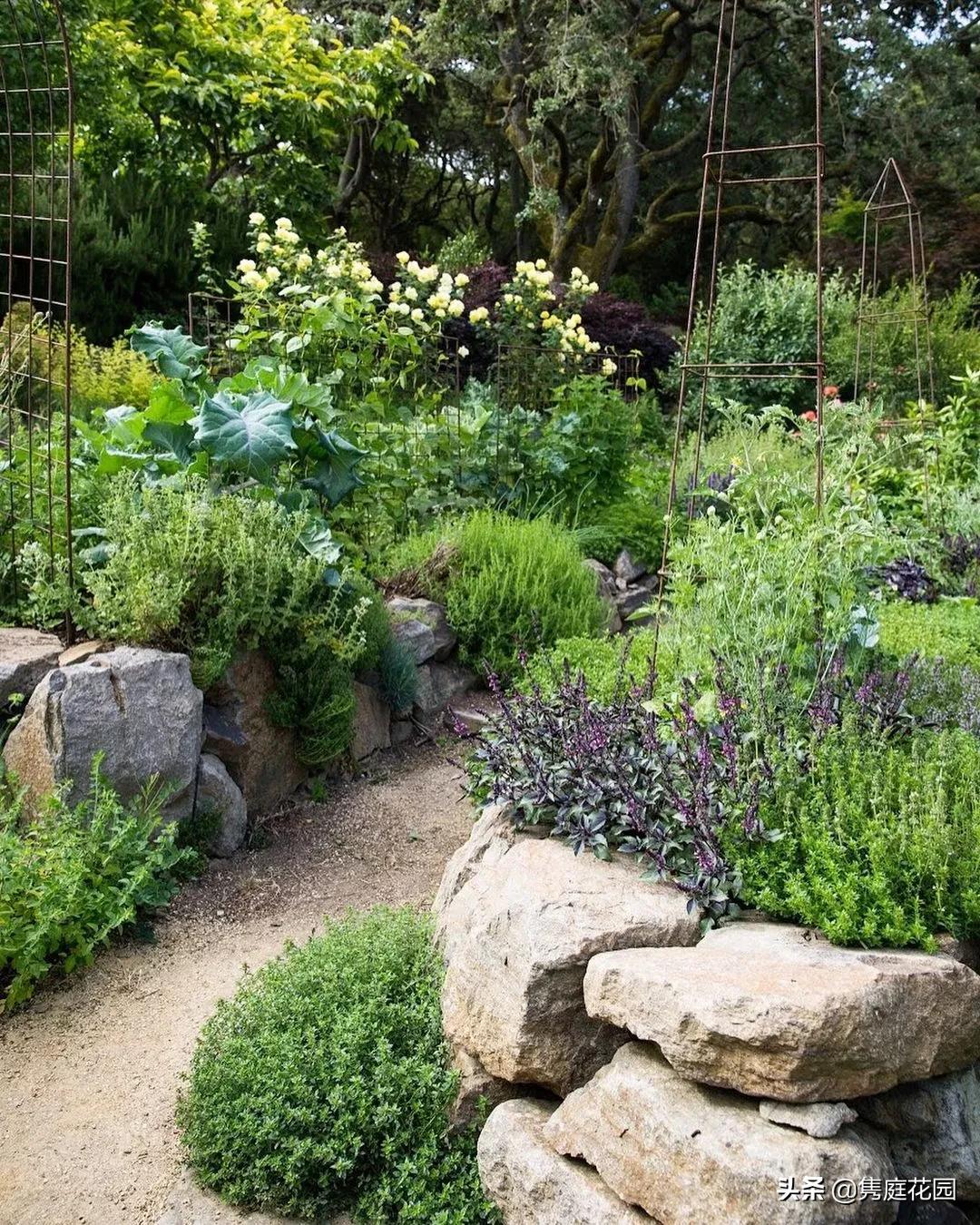 丰富又有趣的花园,花园是最能带给你身心愉悦的地方