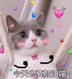 杨紫穿马丁靴的搭配,今年最流行的靴子女款牛仔