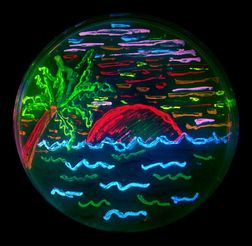 荧光剂增白原理,荧光增白剂国家标准