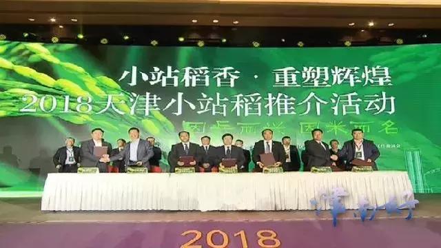 京东小站稻什么时候上线,小站稻即将上线