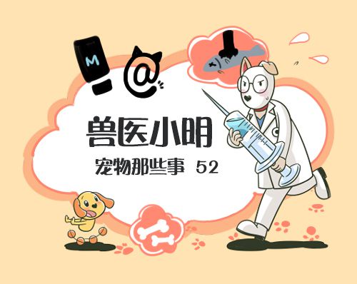 狗狗听到炮声就怕怎么办,狗狗随便听见点动静就狂吠