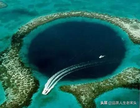 最新世界十大“怪”，最后一个太绝了！