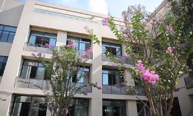 江北沙坪坝新试点学校,重庆沙坪坝区新建学校