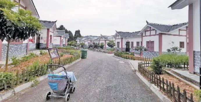 广元这个“空壳村”有了瓤，桑葚汁卖到中东