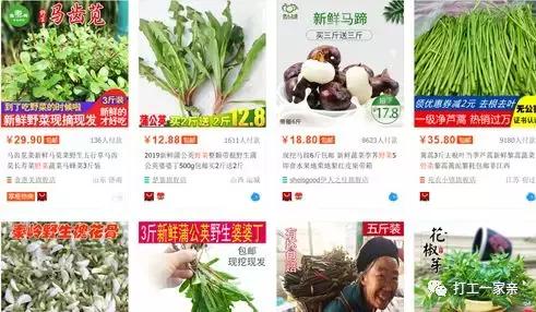 分享赚钱100例,月入1万的100个赚钱项目