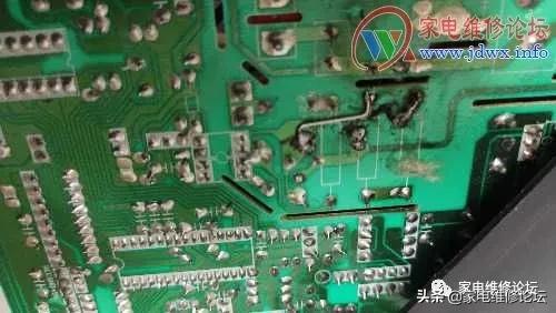 一群人和一只壁虎引发血案,一只壁虎引发的事件