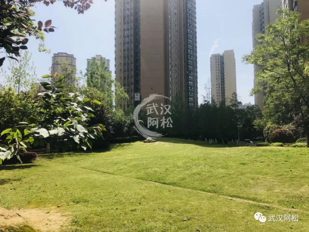 逆袭成功!总价100万起买二环!低价盘竟然成标杆!