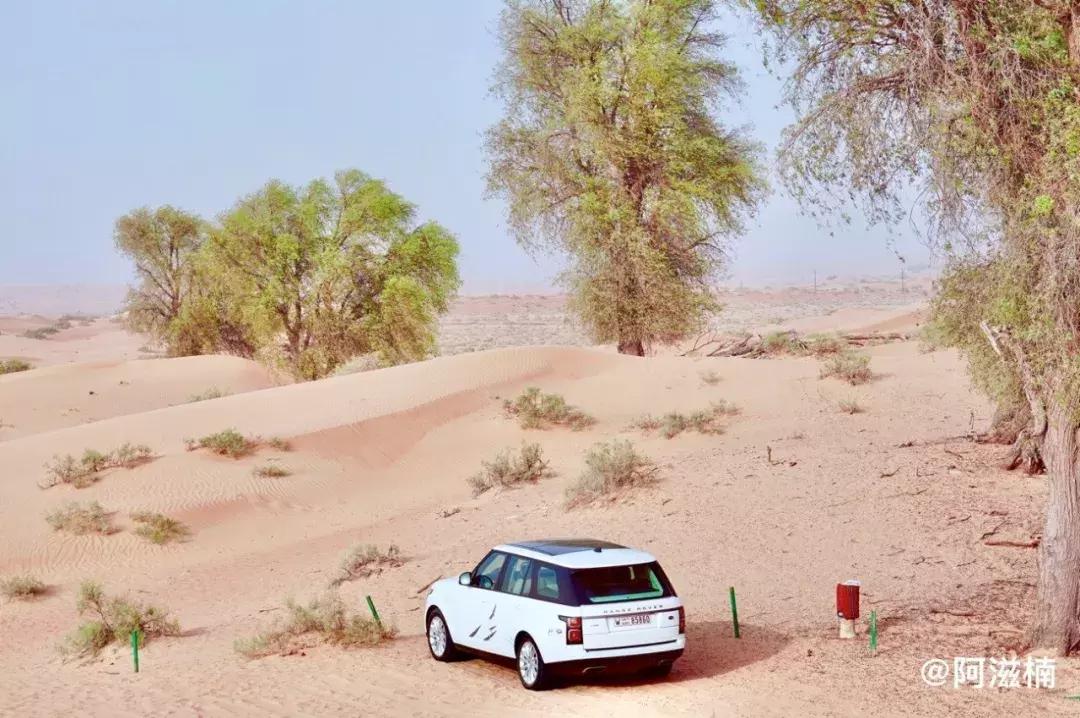 沙漠里的奇迹城,沙漠中的奇迹之城