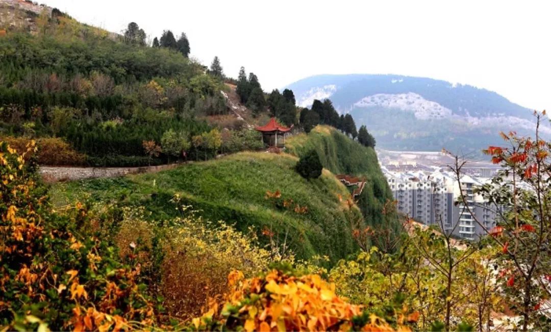 济南免费周末遛娃玩水好去处,济南亲子公园游玩地点推荐