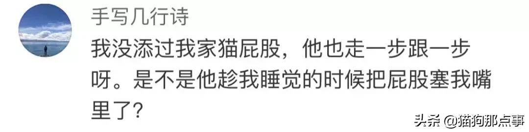 爱我，就给我舔屁股吧