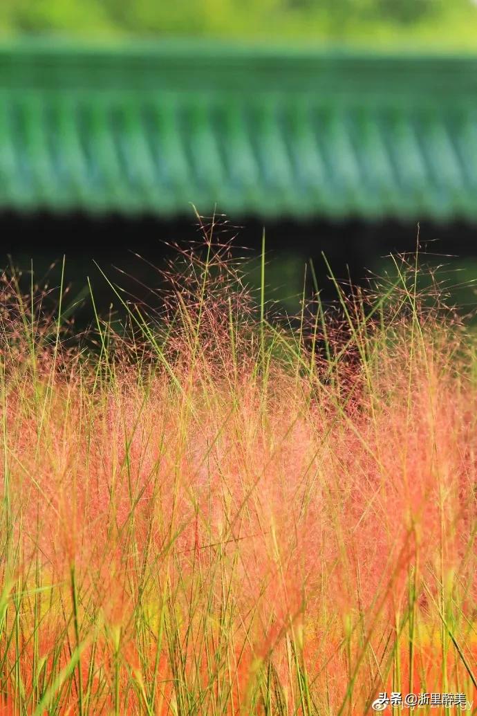 湖光秋月两相和古诗,湖光秋月两相和的诗意