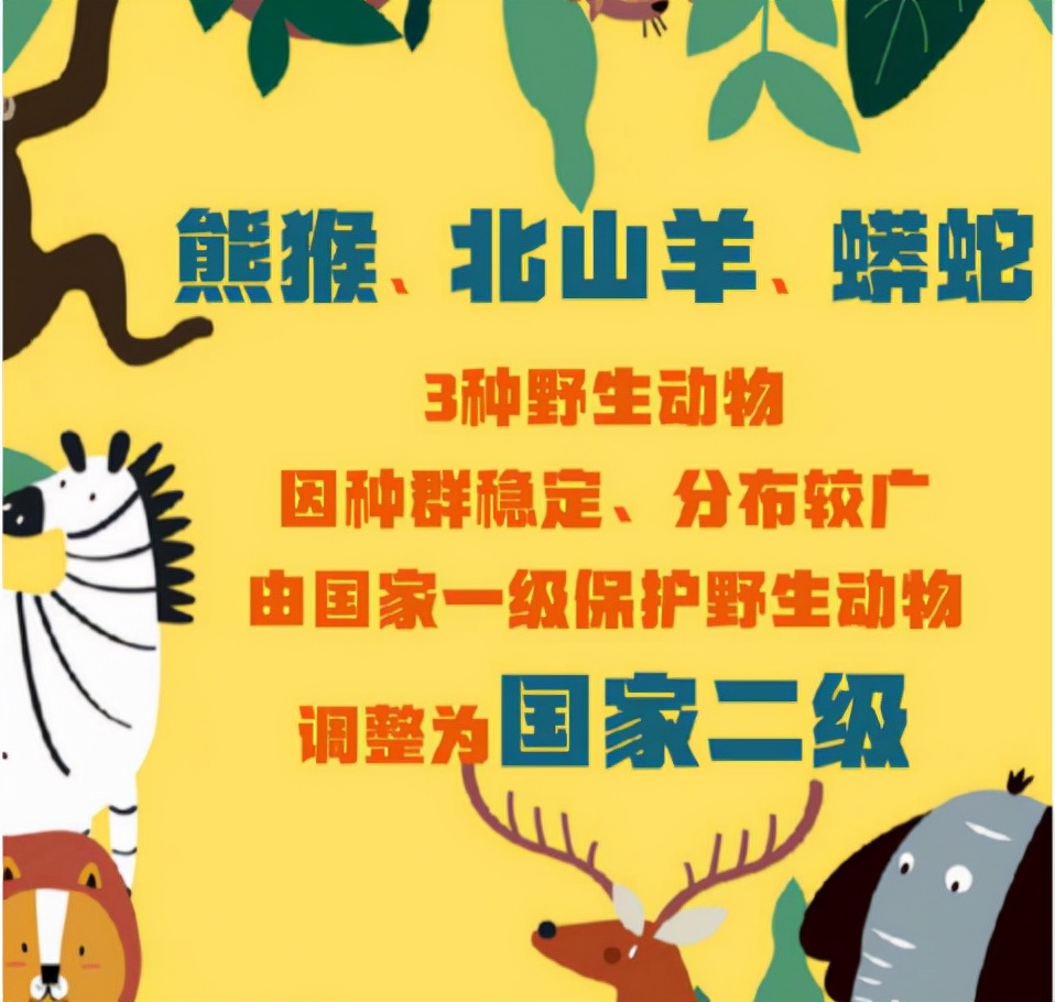 气温回升蛇出去,气温升高蛇的表现