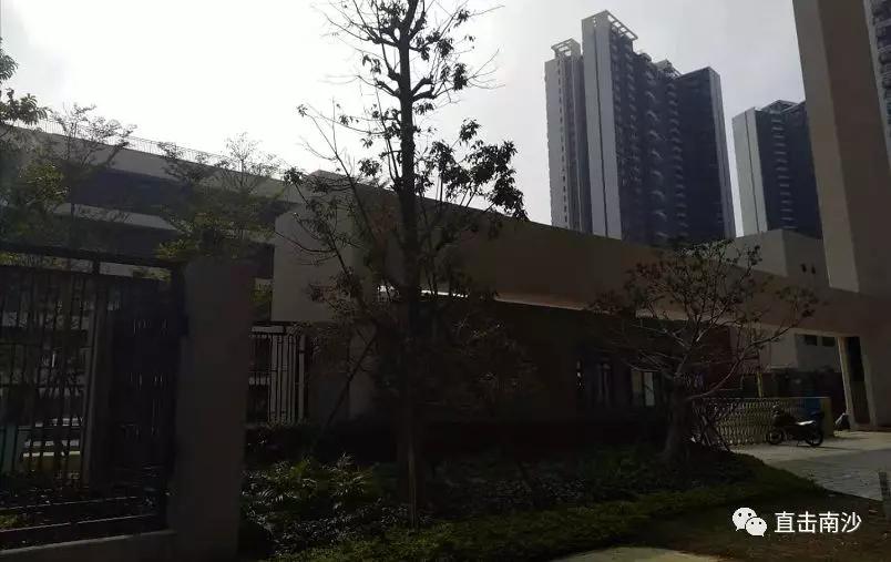南沙区金隆小学和南沙小学,南沙金隆小学金沙路校区排名