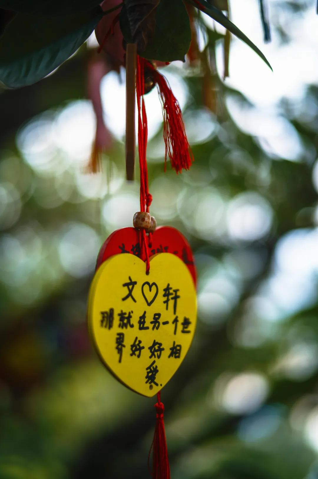 50mmf1.4全画幅镜头推荐,50mmf1.4镜头有几代