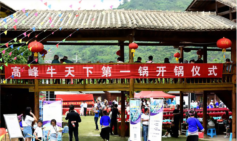 农村大叔养牛100头年收入100万,农村大叔养牛6000头