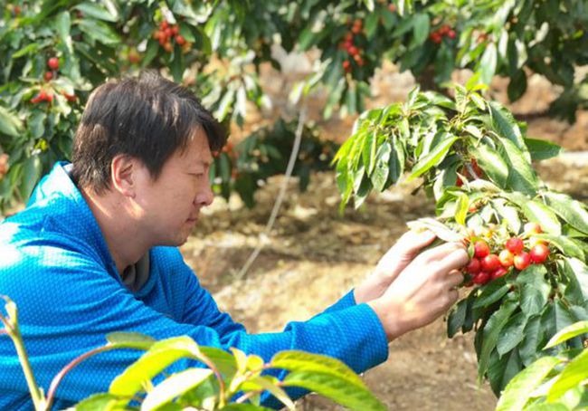 大连足球名将录之“天使”安琦