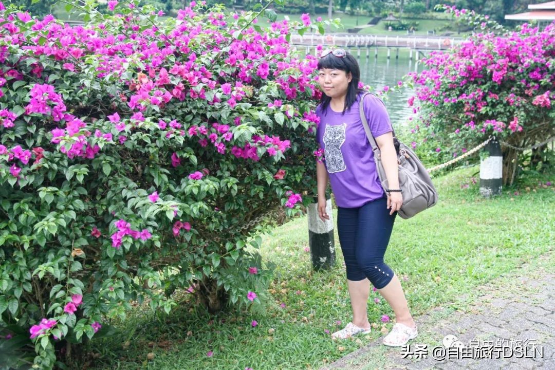 我们夫妻的身体变形记,减肥来之不易,恶心自己高兴别人