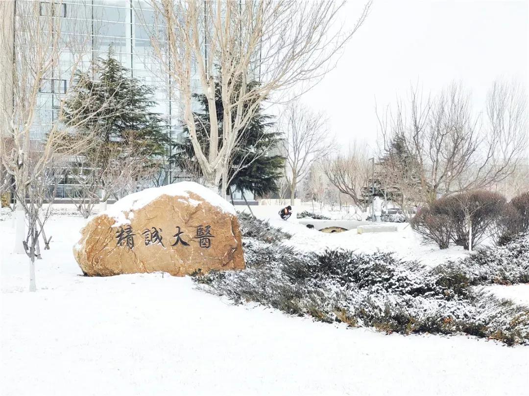 辽宁省高校（三十一）大连医科大学