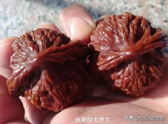 核桃树上的核桃可以盘吗,便宜的核桃能盘出效果吗