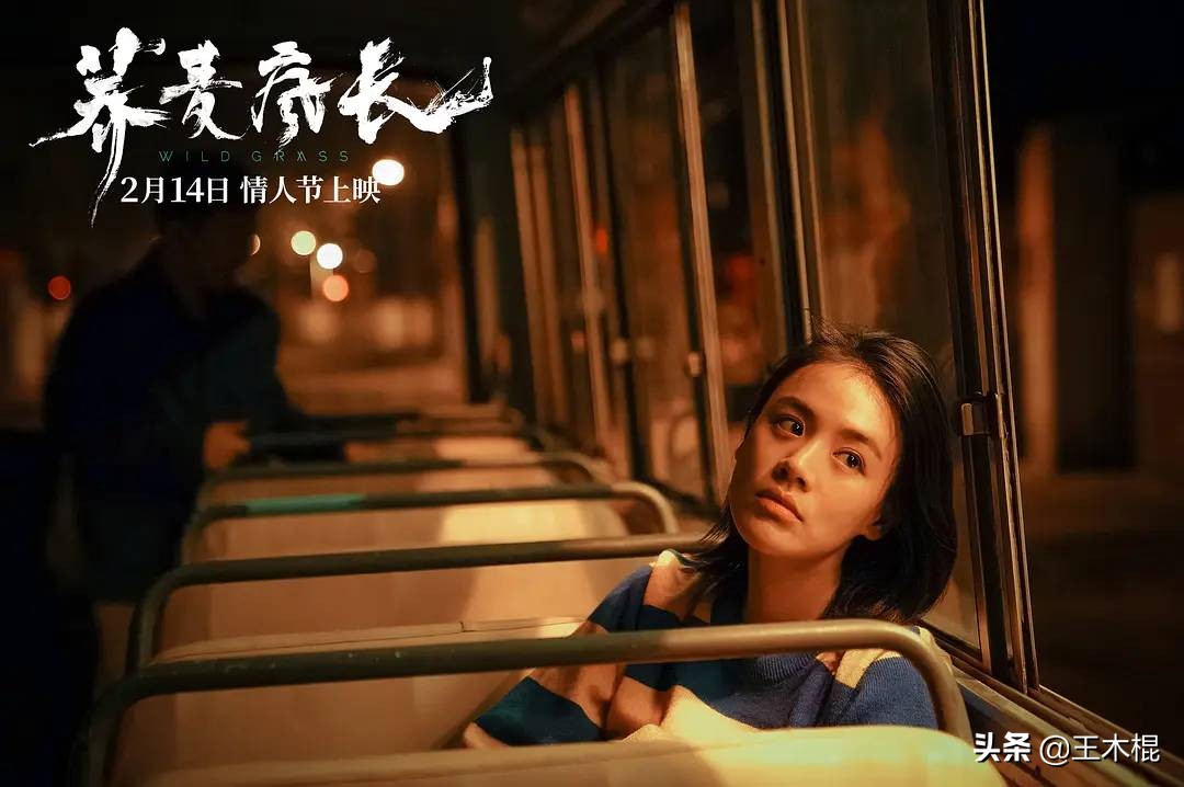 最新的十大必看国产电影,新上映的七部电影